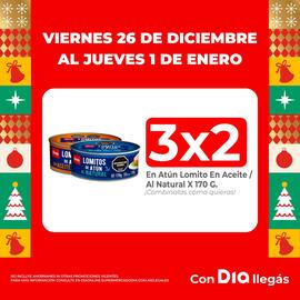 Folleto Supermercados DIA semana 52 Página 5