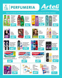 Folleto Arteli Página 13