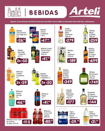 Folleto Arteli Página 6