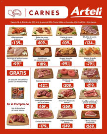 Folleto Arteli Página 9