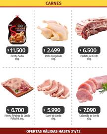 Catálogo Autoservicio Capo Página 3