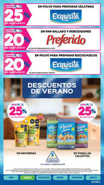 Catálogo La Anonima Página 10