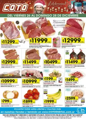 Catálogo Coto (válido hasta 28-12)