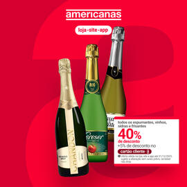 Encarte Lojas Americanas Página 2