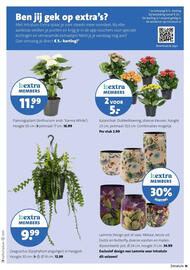 Intratuin folder week 1 Pagina 11