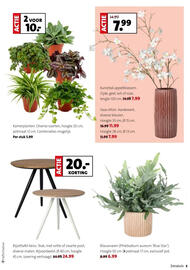 Intratuin folder week 1 Pagina 5