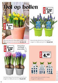 Intratuin folder week 1 Pagina 6