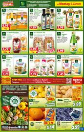 Norma Prospekt woche 2 Seite 11