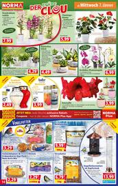 Norma Prospekt woche 2 Seite 14