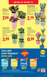 Lidl Flugblatt woche 1 Seite 25
