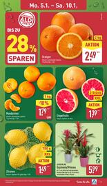 Aldi Nord Prospekt woche 2 Seite 3