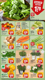 REWE Prospekt woche 1 Seite 7