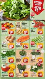 REWE DE tilbudsavis uge 1 Side 7