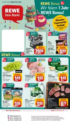 REWE DE tilbudsavis (gælder indtil 4-01)