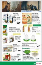 BayWa Prospekt woche 1 Seite 19