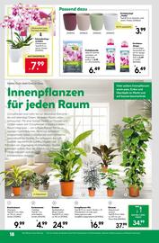 BayWa Prospekt woche 1 Seite 20