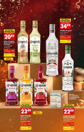 Biedronka gazetka Strona 22