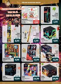 Aktiv Irma Prospekt Seite 11