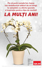 Catalog Kaufland săptămâna 1 Pagină 3