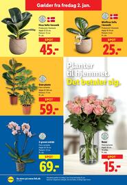 Lidl tilbudsavis Side 36
