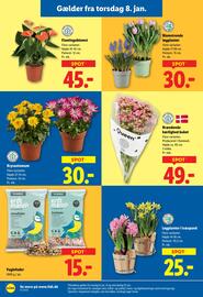 Lidl tilbudsavis Side 37