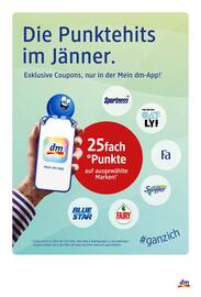 Dm Flugblatt Seite 6