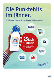 Dm Flugblatt Seite 6