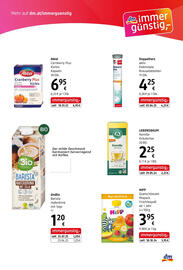 Dm Flugblatt Seite 7