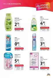 Dm Flugblatt Seite 3