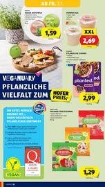 Hofer Flugblatt woche 1 Seite 12