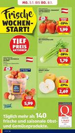 Hofer Flugblatt woche 1 Seite 16