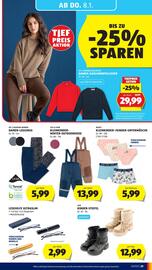 Hofer Flugblatt woche 1 Seite 33