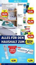 Hofer Flugblatt woche 1 Seite 36