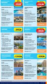 Hofer Flugblatt woche 1 Seite 43