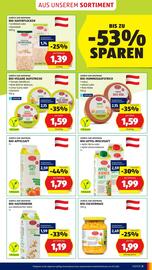 Hofer Flugblatt woche 1 Seite 7