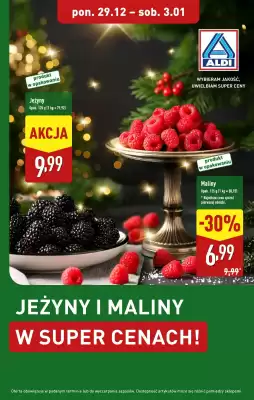 ALDI gazetka (ważność do 3-01)