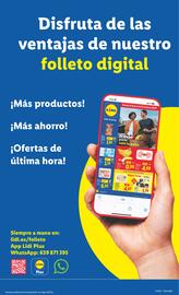 Catálogo Lidl semana 2 Página 19