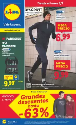 Catálogo Lidl (válido hasta el 11-01)