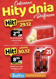 Delfin gazetka Strona 1