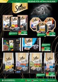 Tamda Foods leták týden 1 Strana 31