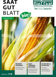 Lagerhaus Flugblatt Seite 1