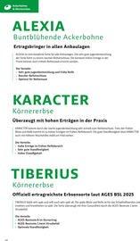 Lagerhaus Flugblatt Seite 10