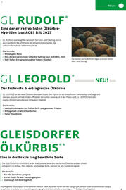 Lagerhaus Flugblatt Seite 9