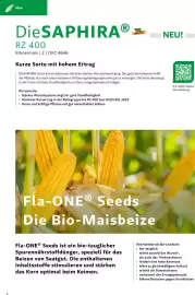 Lagerhaus Flugblatt Seite 4