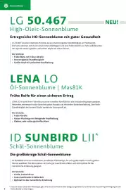 Lagerhaus Flugblatt Seite 8