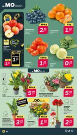 NETTO Prospekt woche 2 Seite 2