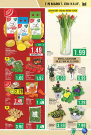 Marktkauf Prospekt woche 1 Seite 5