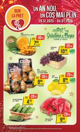 Catalog Mega Image săptămâna 1 Pagină 6