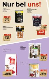 Zoo & Co Prospekt woche 1 Seite 6