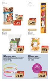 Zoo & Co Prospekt woche 1 Seite 8